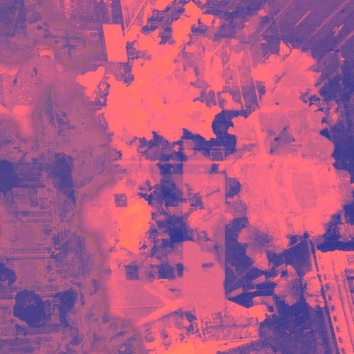 Pink-tinted image of flowers superimposed on a city-scape