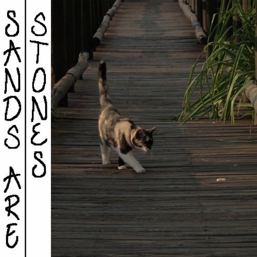 An image of a cat exploring its surroundings on a wooden walkway that leads into the distance.